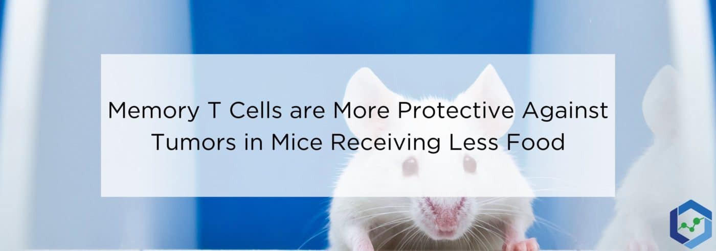 Sliding Headers 25 1400x492 - Memory T Cells are More Protective Against Tumors in Mice Receiving Less Food