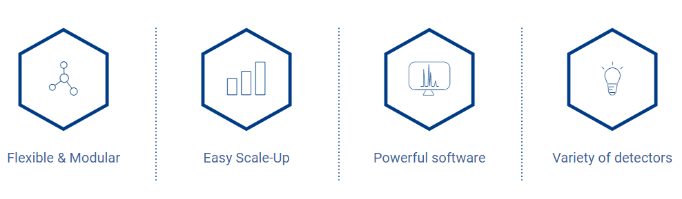 FPLC KNAUER - KNAUER Bio Purification System for Size Exclusion Chromatography – Up To 10 ml/min