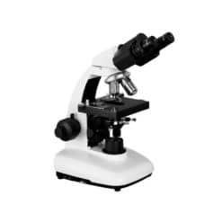 Microscope Upright