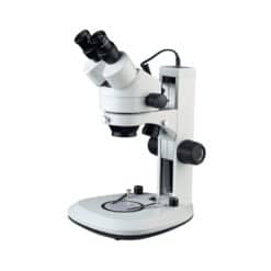 Microscope Zoom