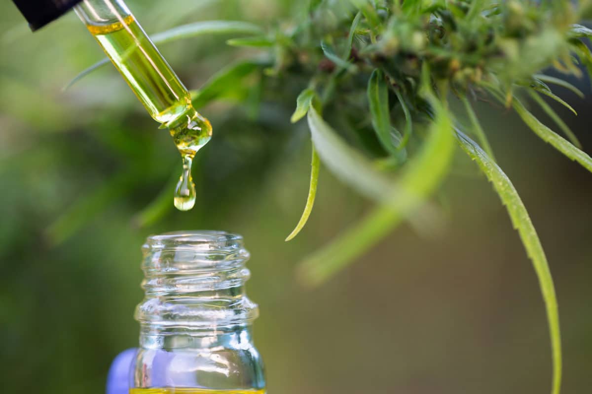 iStock 1178459721 1200x800 - The 5 Steps of Cannabis Extraction