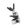 Untitled design 2022 07 19T084510.954 100x100 - Euromex Phase contrast kit with Abbe condenser with slot for slider. Plan PLPHi 20/S100x phase contrast infinity corrected objectives, slider with 20 and 100x annuli, telescope and green filter