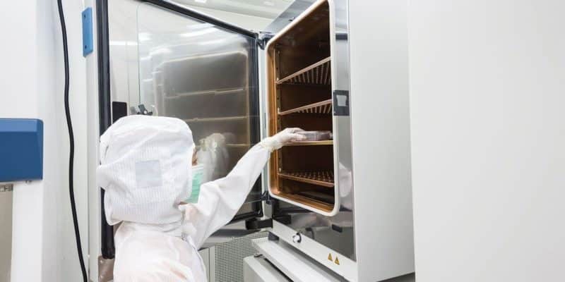 how to prevent biological contamination in your co2 incubators l 800x400 - Corporate