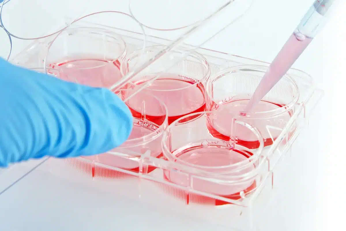 Cell Culture Top 1200x800 - Cell Culture: Safety Practices and Solutions