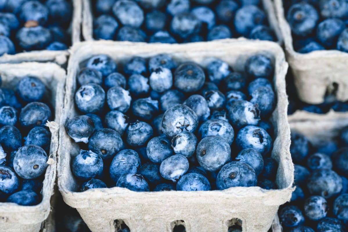 pexels photo 70862 1199x800 - Analyzing Mycotoxins in Food with Liquid Chromatography