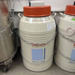 Thermo Scientific Locator 4 Plus Cryo Freezer