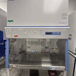 Thermo Scientific 1300 A2 SS 4FTPKG BSC
